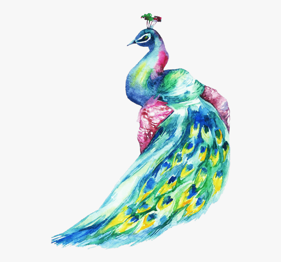 Th Annual Ball City Winter Park - Peacock Ball Winter Park 2018, Transparent Clipart