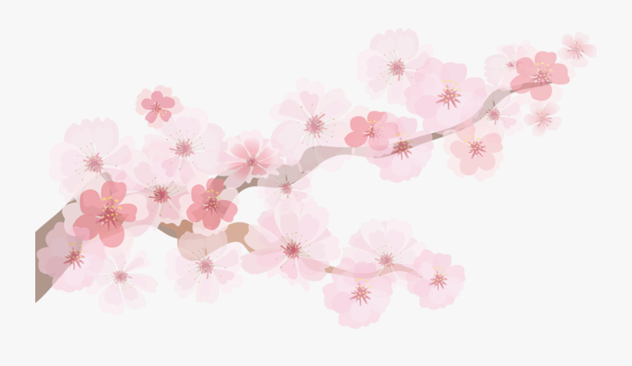 Transparent Cherry Blossom Emoji Png - Cherry Blossom Paper Decoration, Transparent Clipart