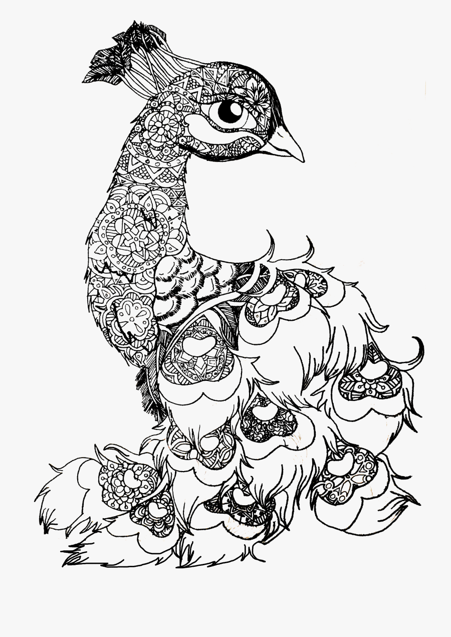 Transparent Peacock Clipart - Mandala Birds, Transparent Clipart