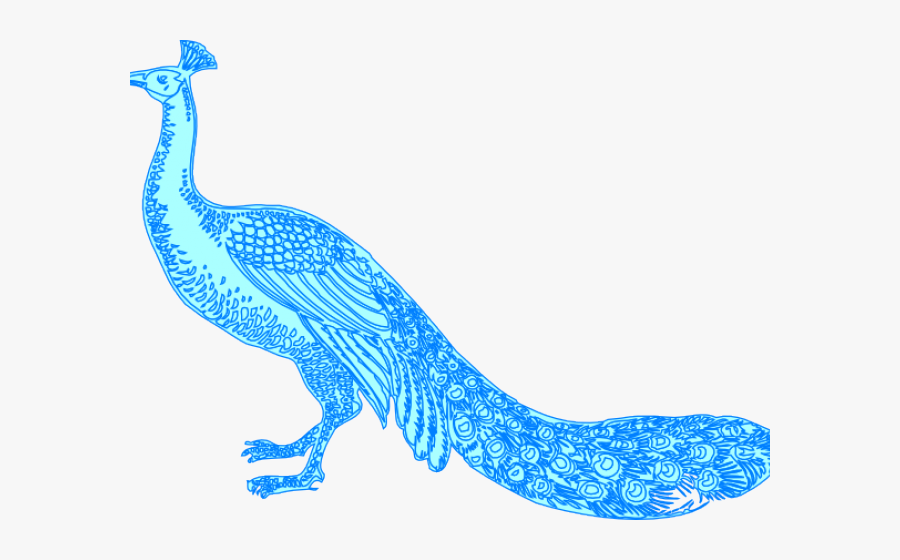 Peacock Cliparts - Peacock Images In Png Line Art, Transparent Clipart