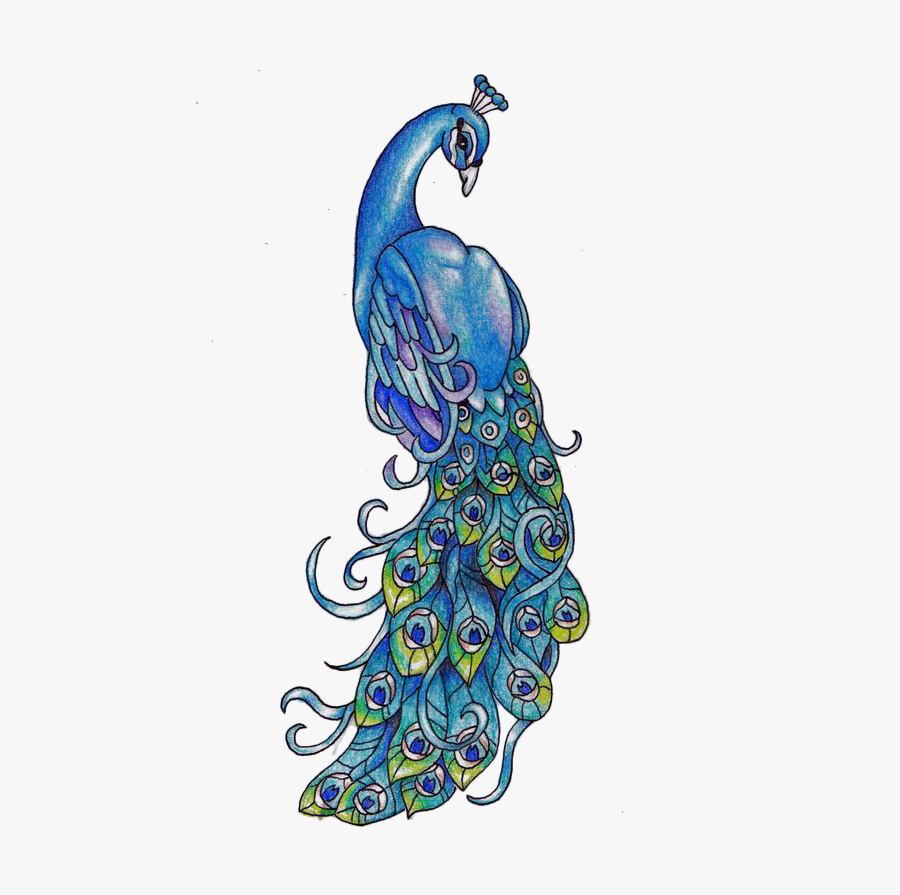 Traditional Drawing Of Peacock - Traditional Art Of Peacock, Transparent Clipart