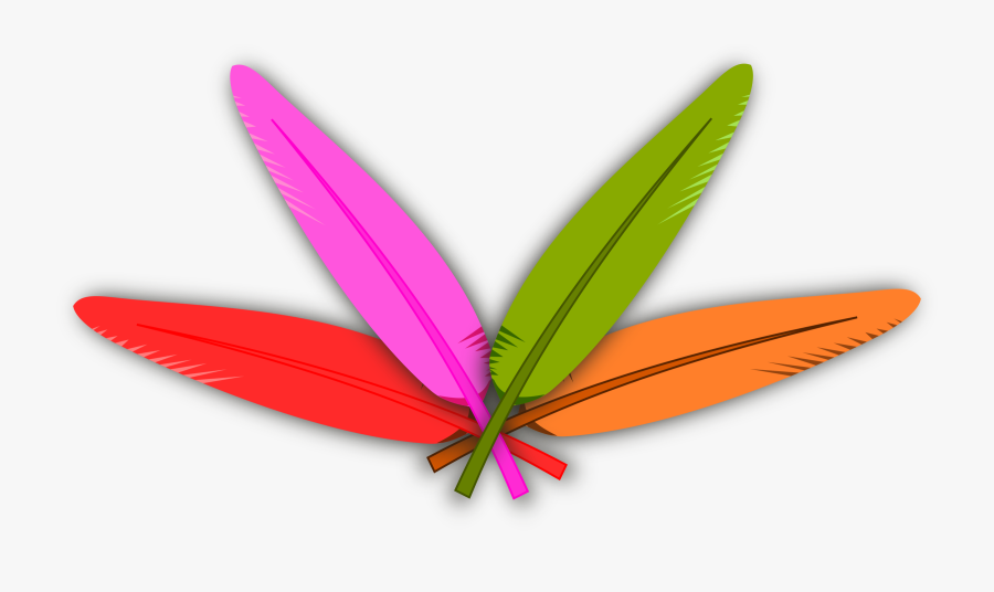 Peacock Clipart Clipground - Turkey Feathers Clipart Png, Transparent Clipart