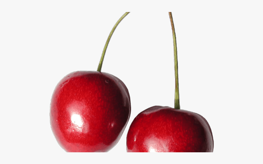 Cherry Clipart Shiny - High Resolution Cherry Hd, Transparent Clipart