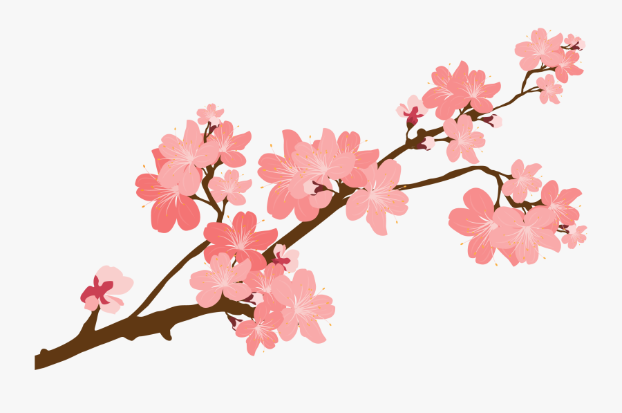 Clip Art Cherry Blossom Clip Art Black And White - Transparent Cherry Blossom Clipart, Transparent Clipart