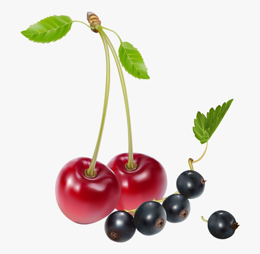 Cherries And Blueberries Png Clipart - Cherry Blueberries, Transparent Clipart