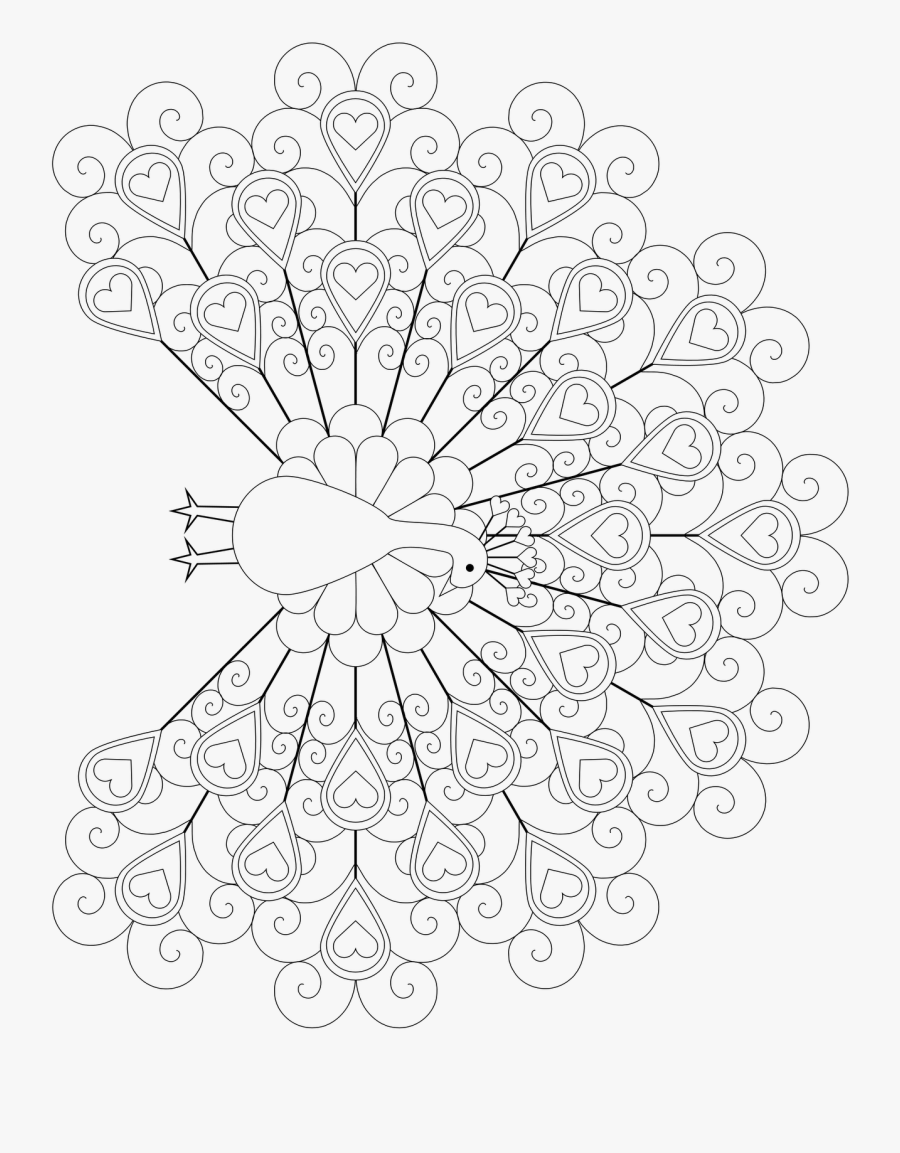 Clip Art Peacock Coloring Page - Modele De Quilling, Transparent Clipart