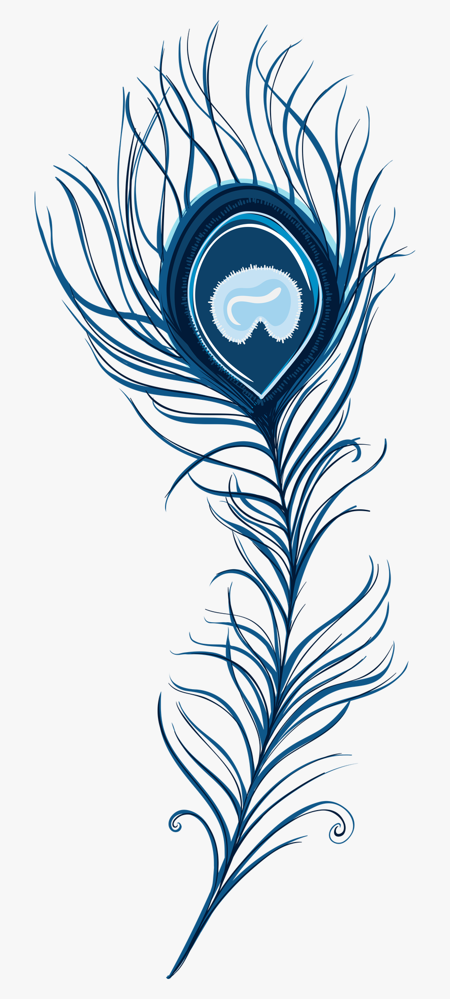 Transparent Feathers Clipart - Peacock Feather Clipart Png, Transparent Clipart