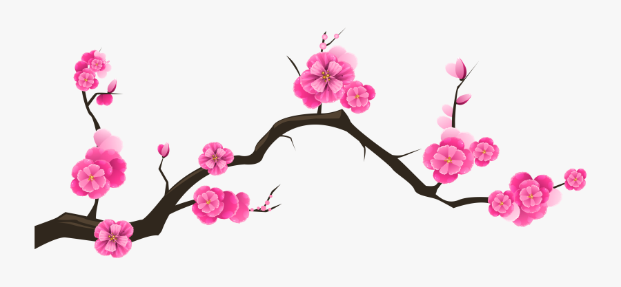 Blossom Clipart Almond Tree - Transparent Background Cherry Blossom Branch Clipart, Transparent Clipart