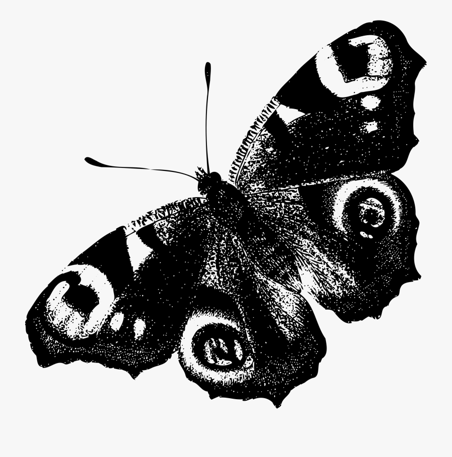 Transparent Peacock Clipart - Peacock Butterfly Black And White, Transparent Clipart