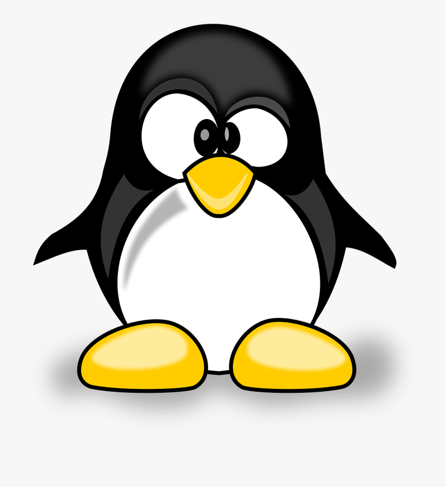 Penguin Google, Transparent Clipart
