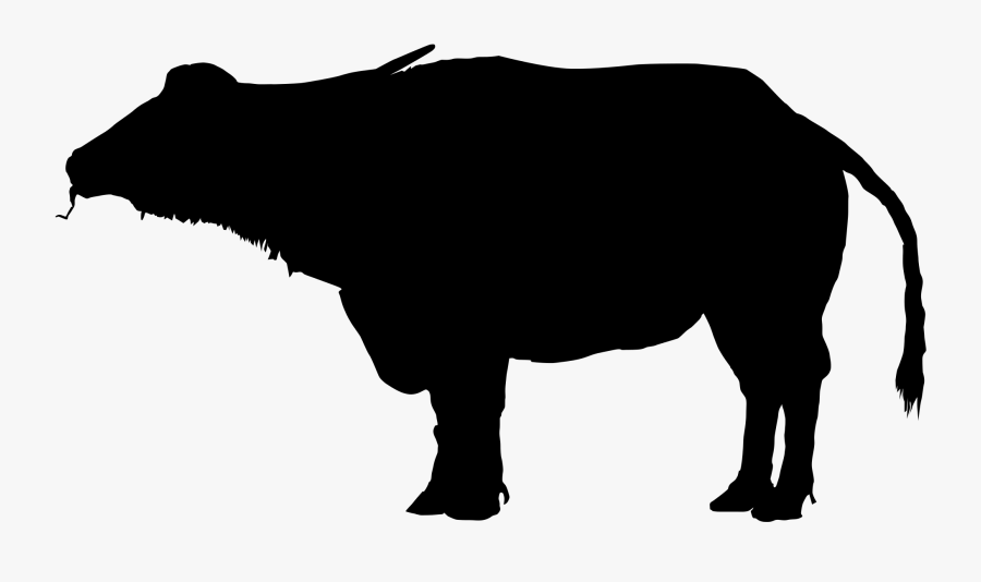 Water Buffalo Clipart Silhouette - Buffalo Transparent Background, Transparent Clipart