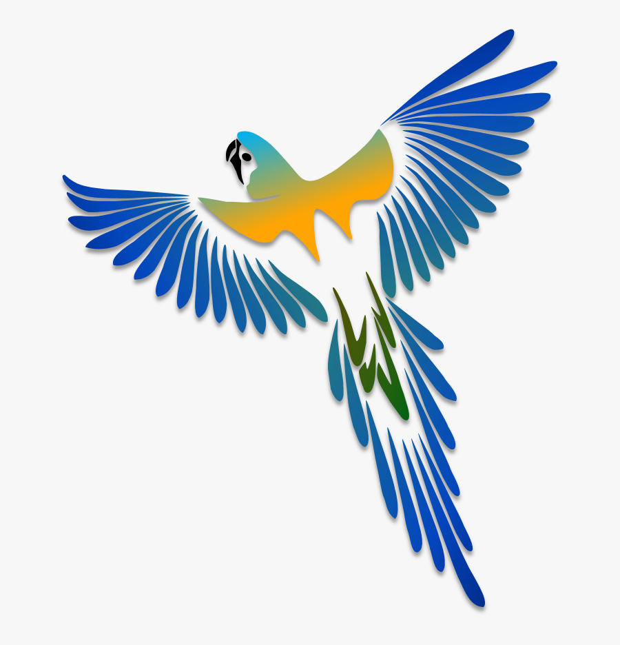 Birds Illustrations Art Islamic Graphics Adornos Pinterest - Macaw Tattoo Black And White, Transparent Clipart