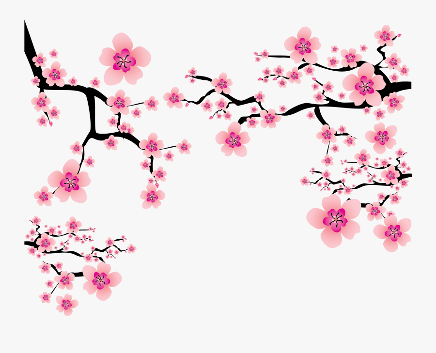 Cherry Blossom Plum Blossom Clip Art - Sakura Flower Png, Transparent Clipart