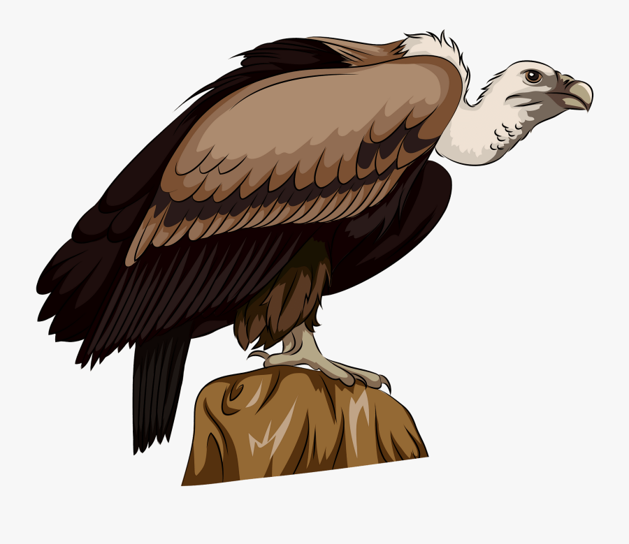 Buzzard , Free Transparent Clipart - ClipartKey