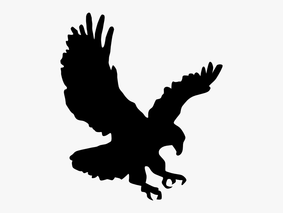 Transparent Background Eagle Clipart, Transparent Clipart