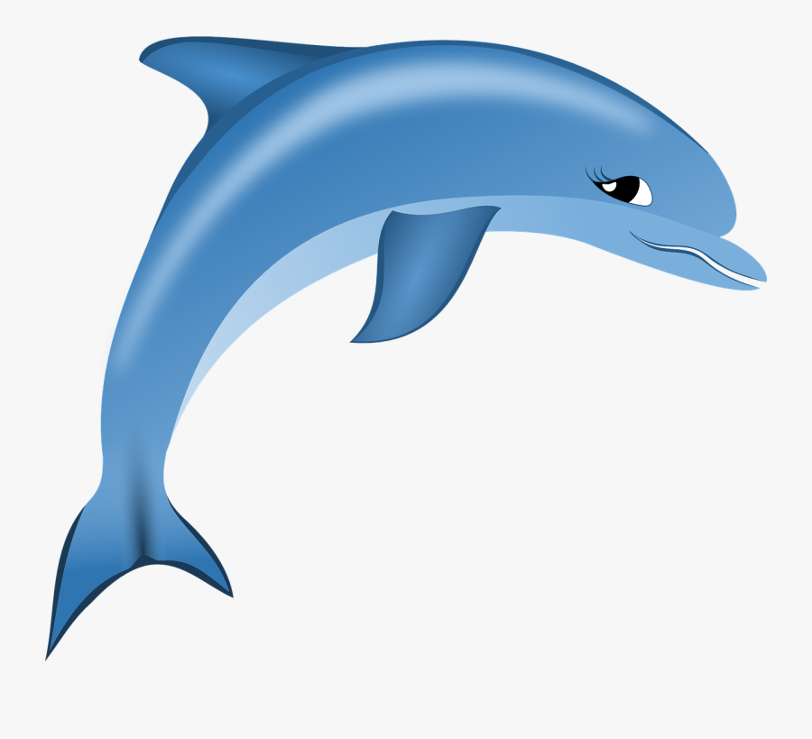 Cartoon Dolphin Png, Transparent Clipart