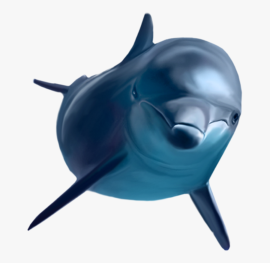 Transparent Killer Whale Png - Dolphin Png Transparent, Transparent Clipart