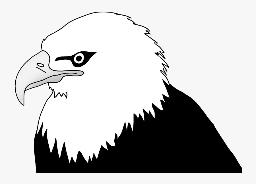 Bald Eagle Head Illustration - Bald Eagle Clipart Black And White, Transparent Clipart