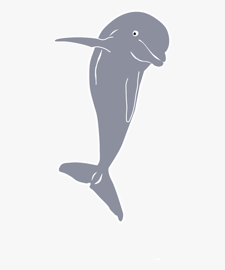 Dolphin Jumping, Front - Front Of Dolphin Png, Transparent Clipart