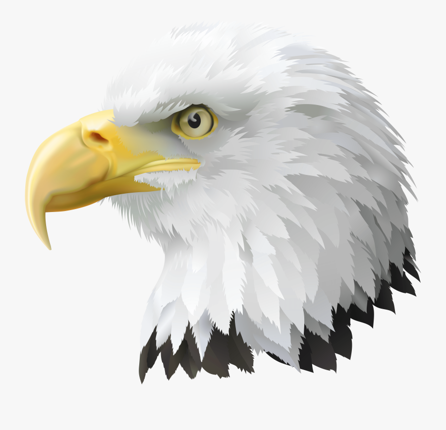 Transparent Eagle Clipart, Transparent Clipart
