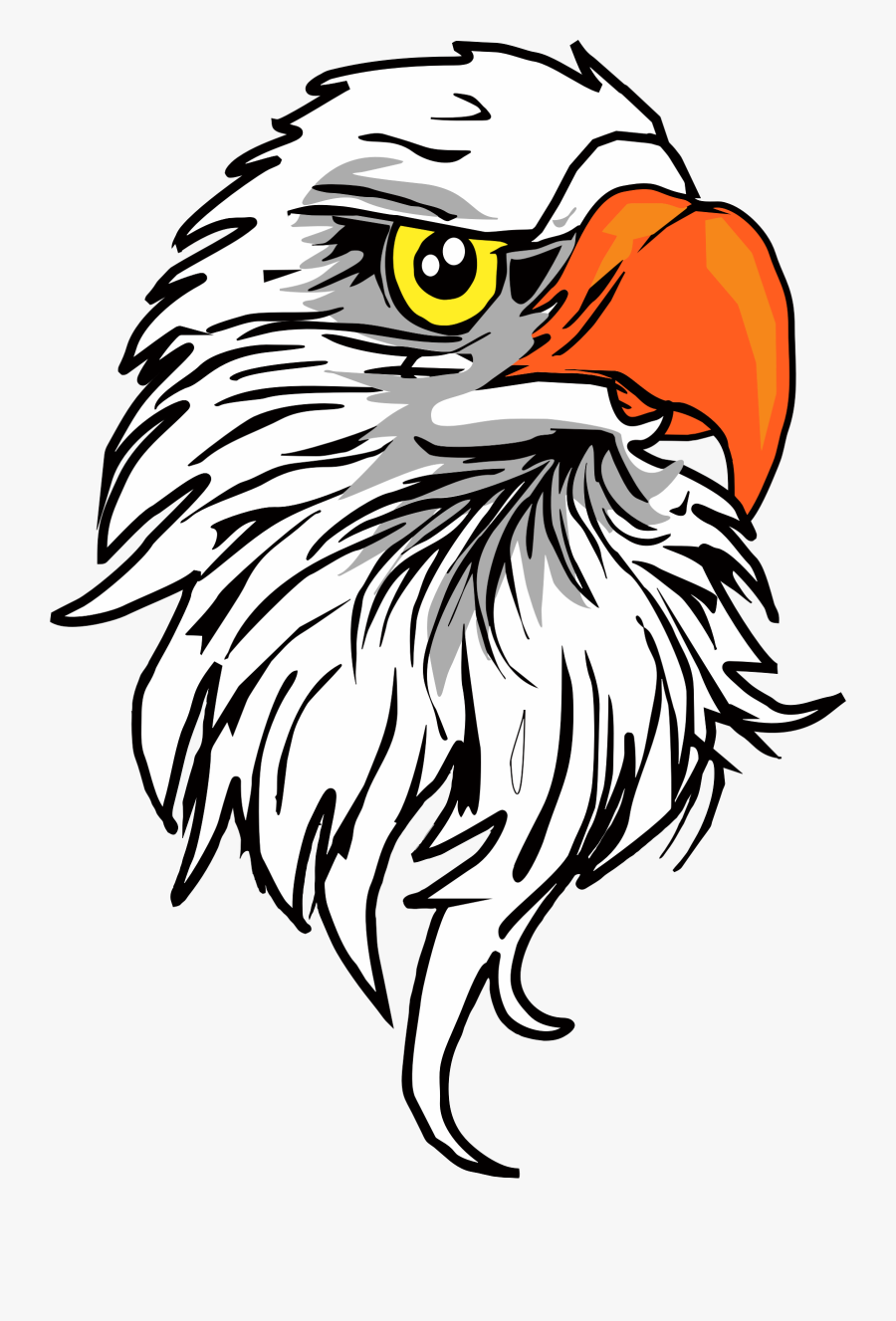 Eagle Head - Eagle Head Png, Transparent Clipart