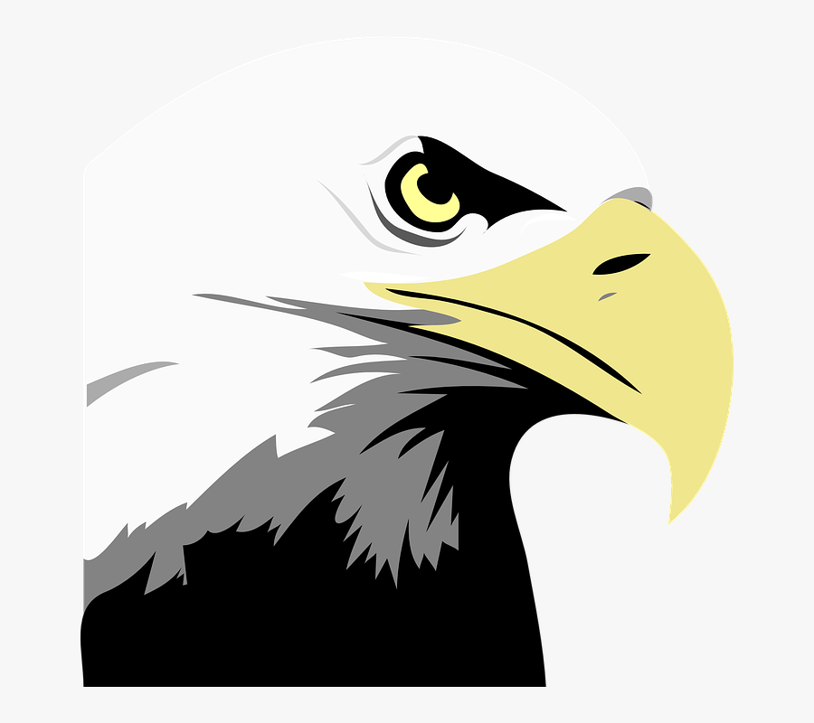 Eagle Clipart File - Bald Eagle Clipart, Transparent Clipart