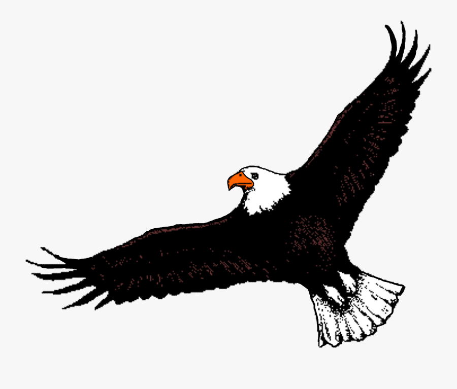 Bald Eagle Clipart Flight Clipart - Bald Eagle Flying Clipart, Transparent Clipart