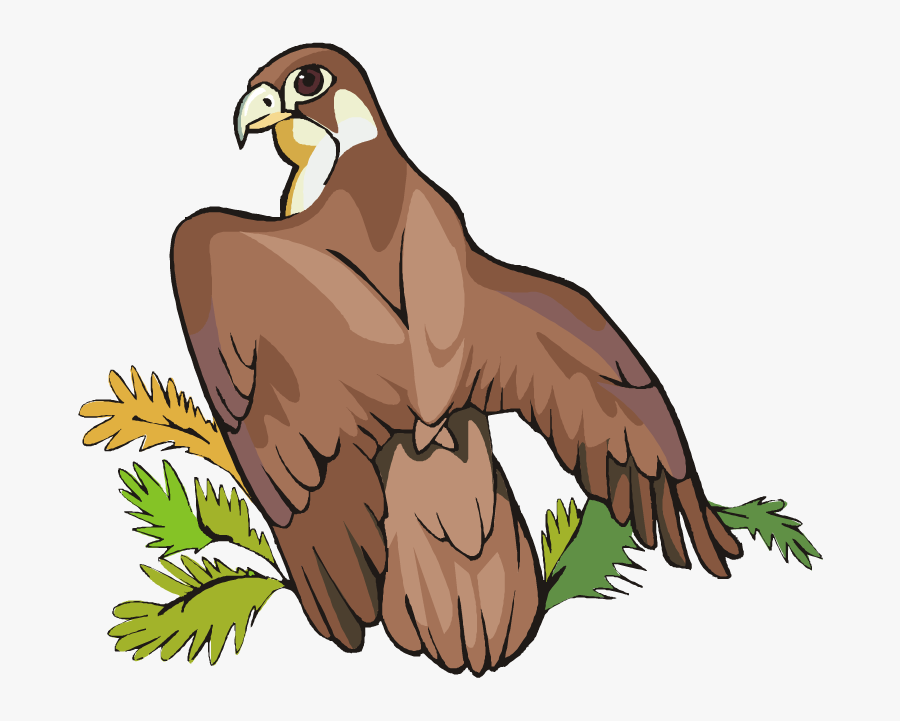 Eagle Clipsrt Clipart Eagle Download This Clip Art - Eagle In Zoo Clip Art, Transparent Clipart