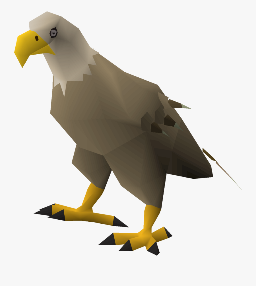Download Transparent Png - Desert Eagle Bird, Transparent Clipart