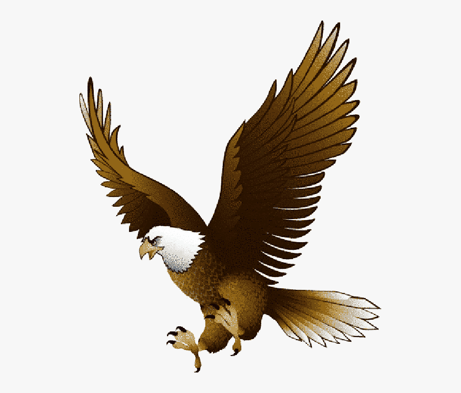 Staff Directory Brunswick County - Ubon Umt United F.c., Transparent Clipart