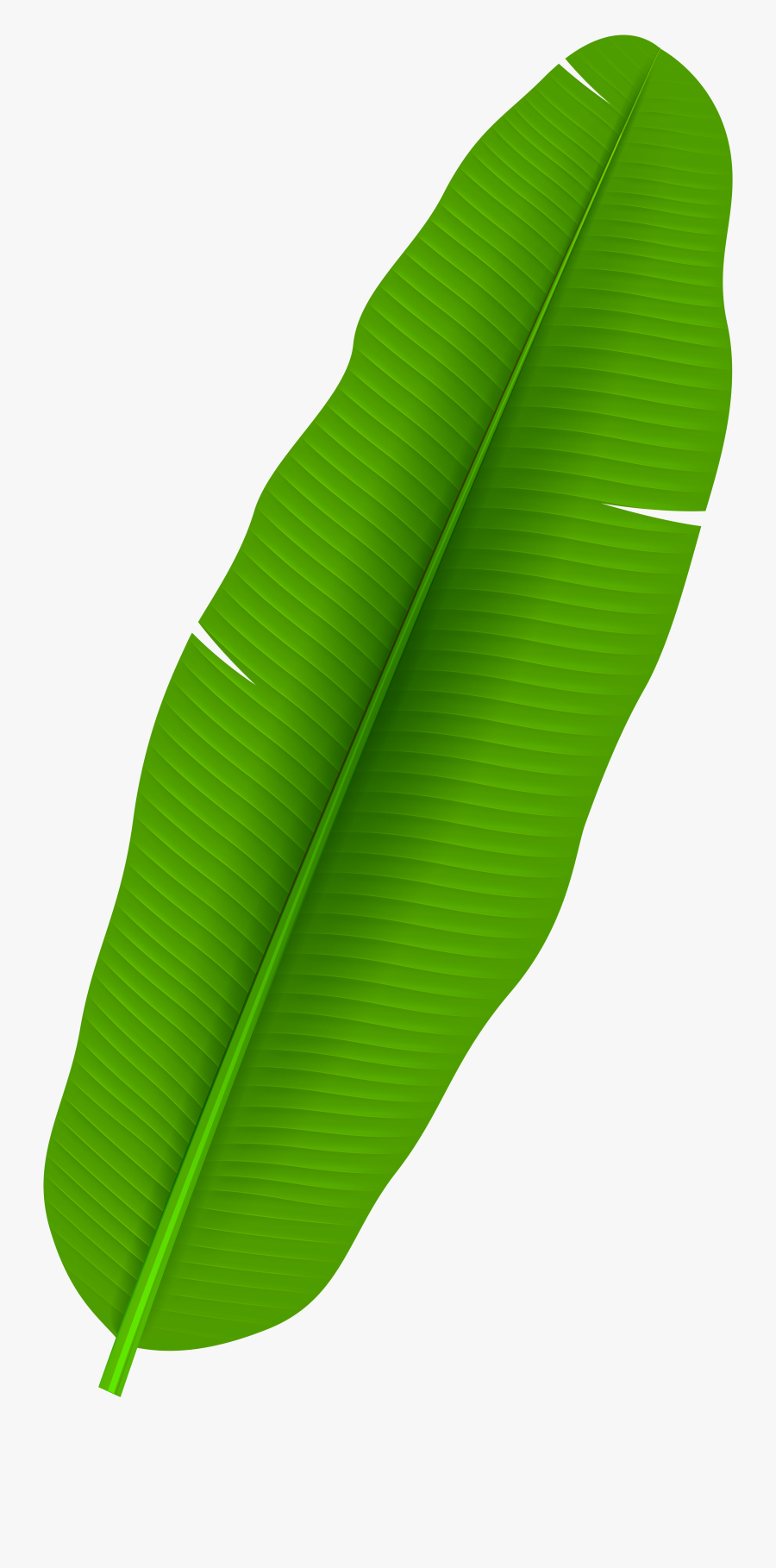 Palm Leaf Clip Art Png - Banana Leaf Clipart Png, Transparent Clipart