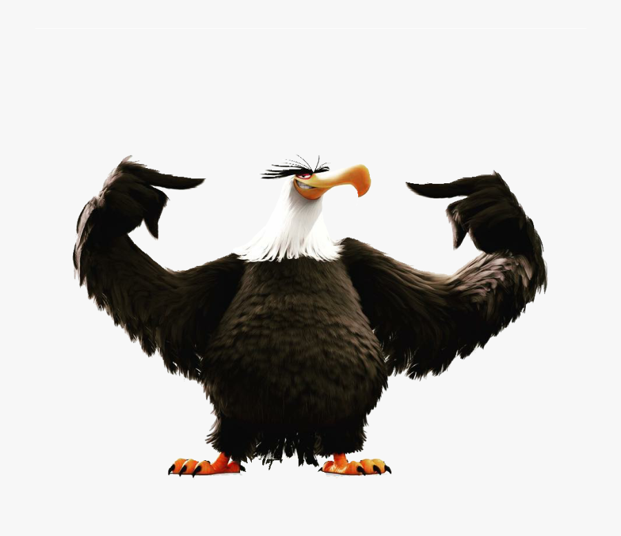 White Tailed Eagle Angry - Mighty Eagle Angry Birds Evolution, Transparent Clipart