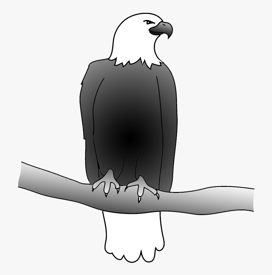 Drawing Of Bald Eagle On A Branch - Parrot, Transparent Clipart