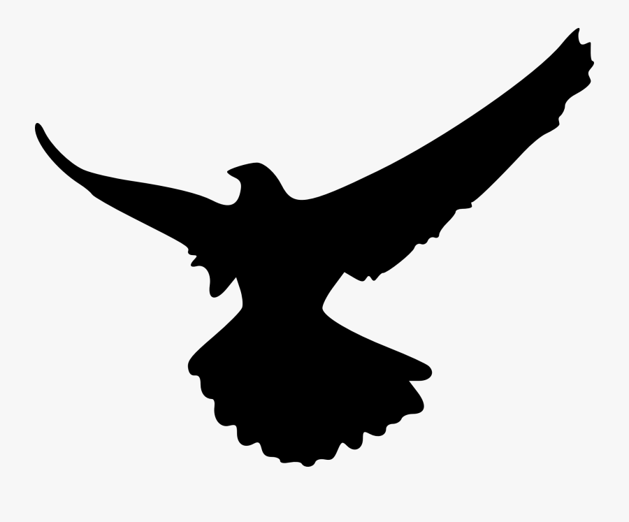 Flying Hawk Silhouette At Getdrawings - Shadow Of An Eagle, Transparent Clipart