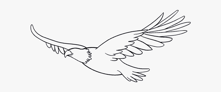 Clip Art An In Few Easy - Drawing Of An Eagle Flying, Transparent Clipart