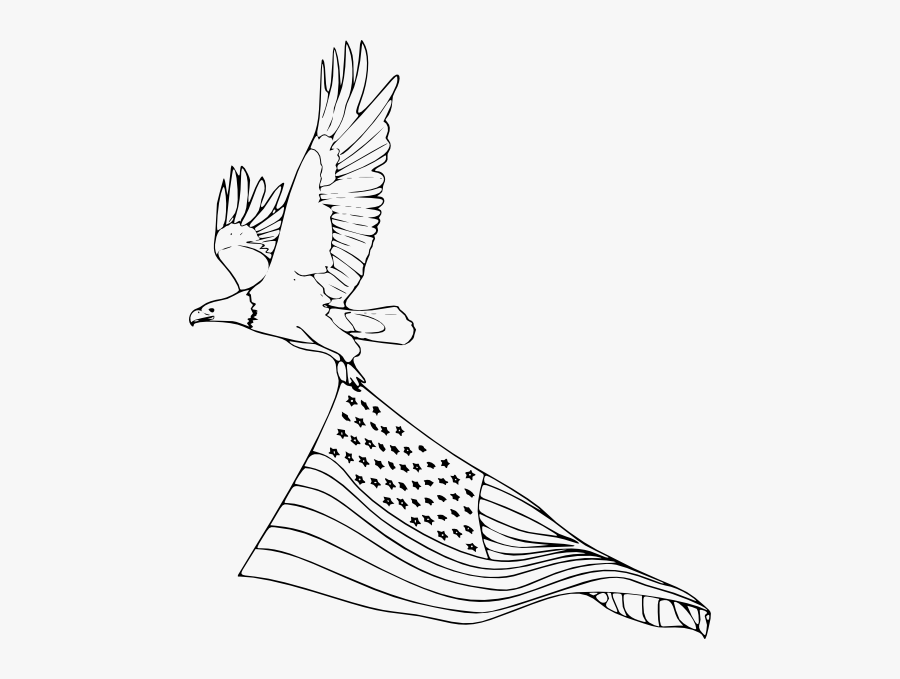 Easy Drawing Of A Bald Eagle, Transparent Clipart
