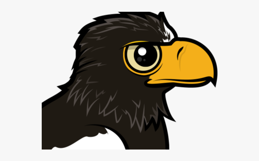 Steller's Sea Eagle, Transparent Clipart