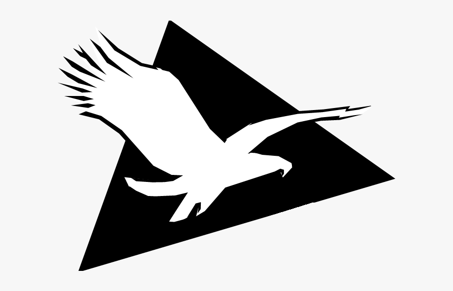 Eagle Clipart , Png Download - Eagle, Transparent Clipart