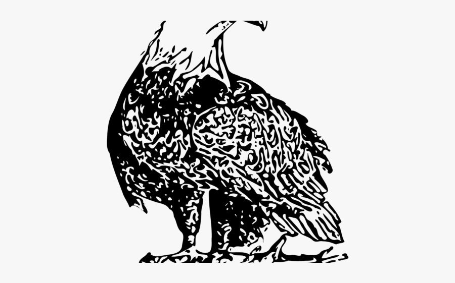 Taligrafi Islamik, Transparent Clipart