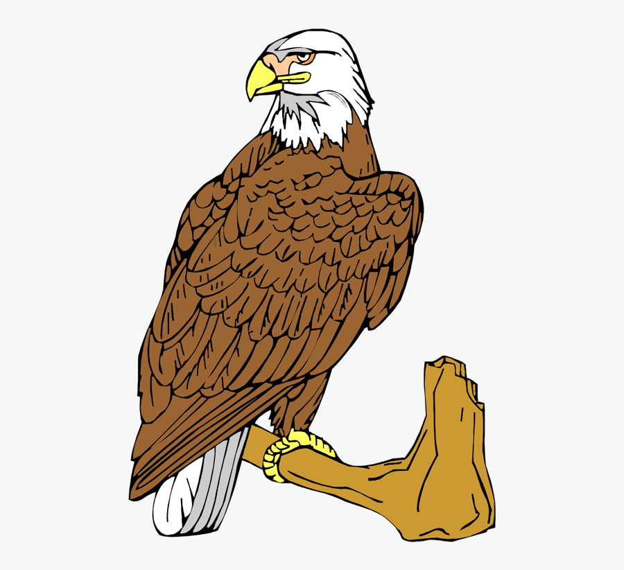 Free Eagle Clipart - Eagle Bird Clipart, Transparent Clipart