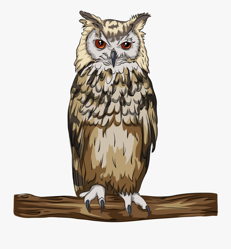 Great Horned Owl, Transparent Clipart