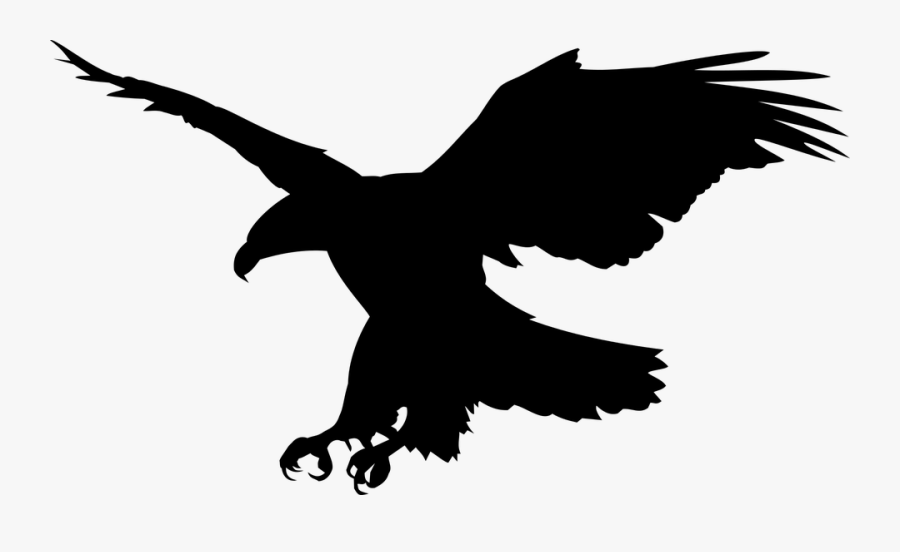 White Tailed Eagle Clipart Public Domain - Aigle En Png, Transparent Clipart