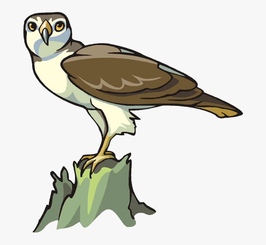 Transparent Eagle Clipart Png - Clipart Osprey, Transparent Clipart