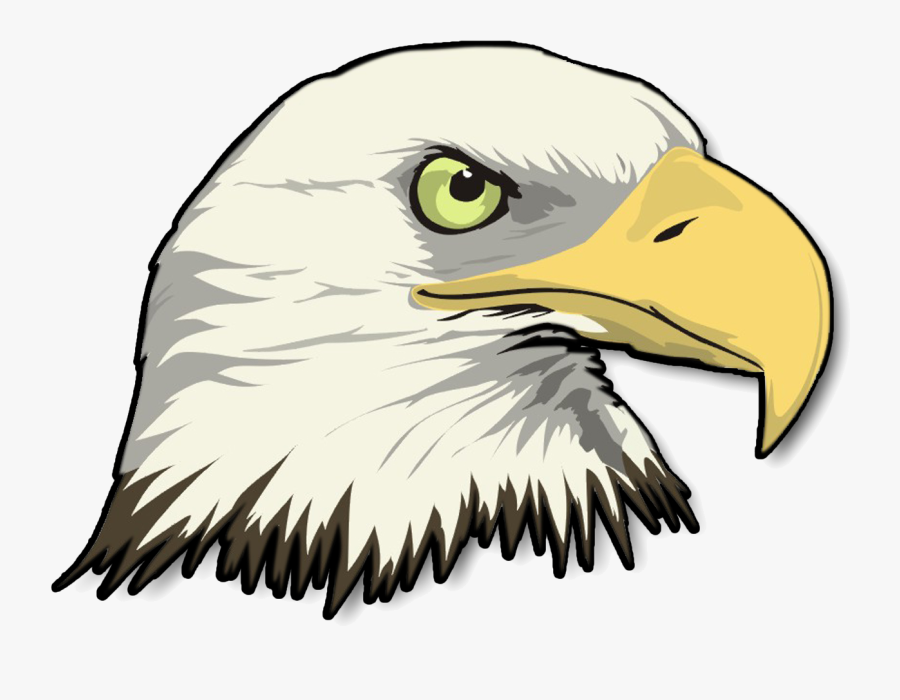 Png Stock Eagle Head Transparent Image - Cartoon Bald Eagle Head, Transparent Clipart