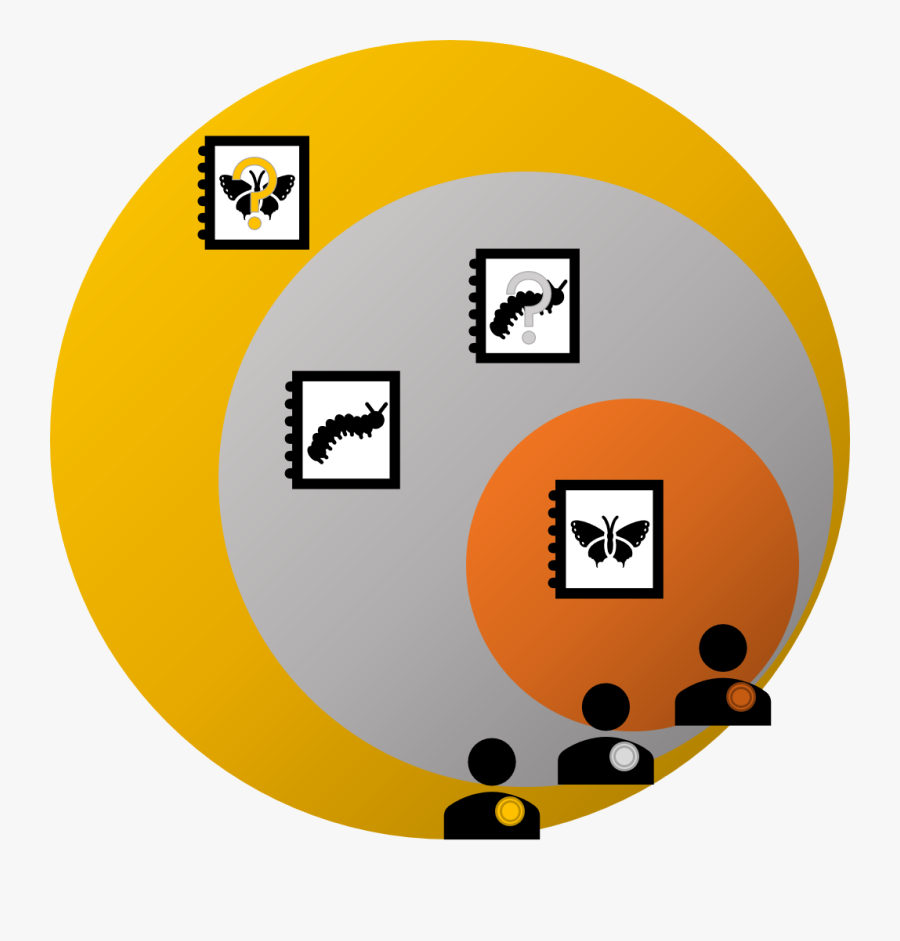 Circle, Transparent Clipart