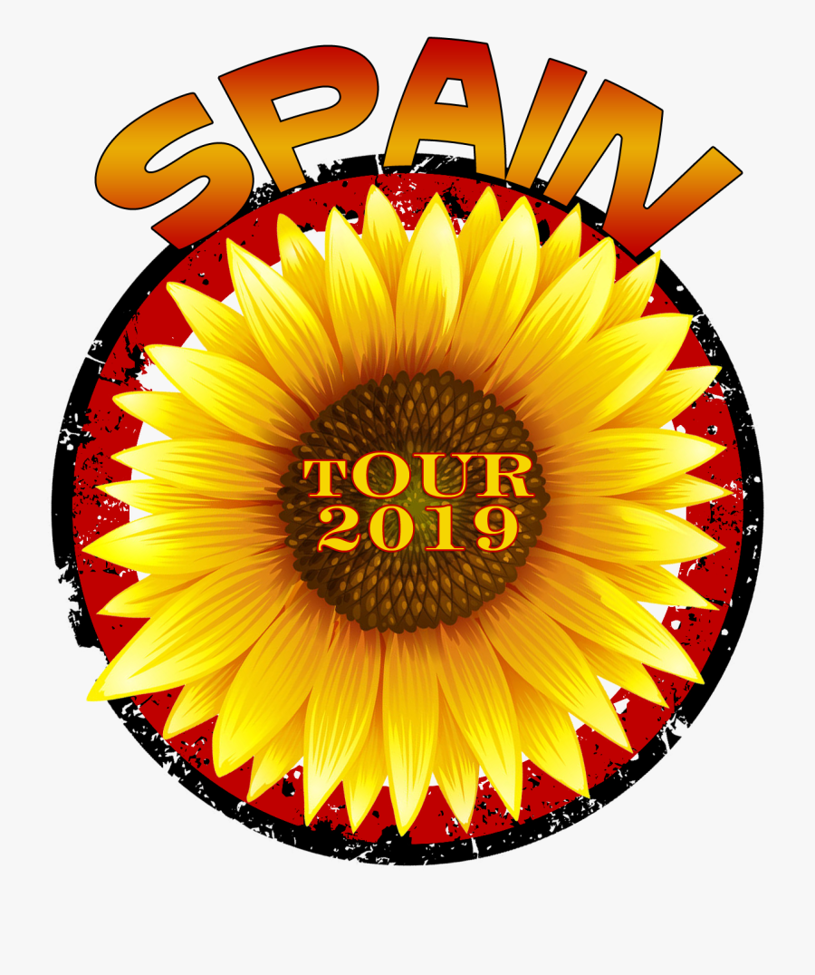 June 17-27, 2019 Spain Designed Specially To Combine - Donna Summer, Transparent Clipart