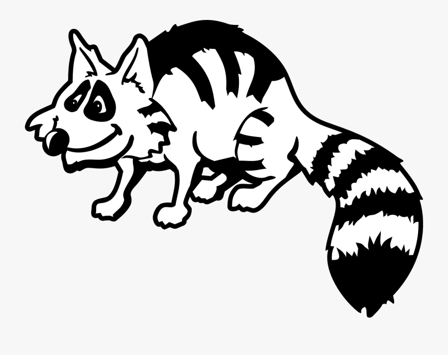 Raccoon - Raccoon Clipart Black And White , Free Transparent Clipart ...