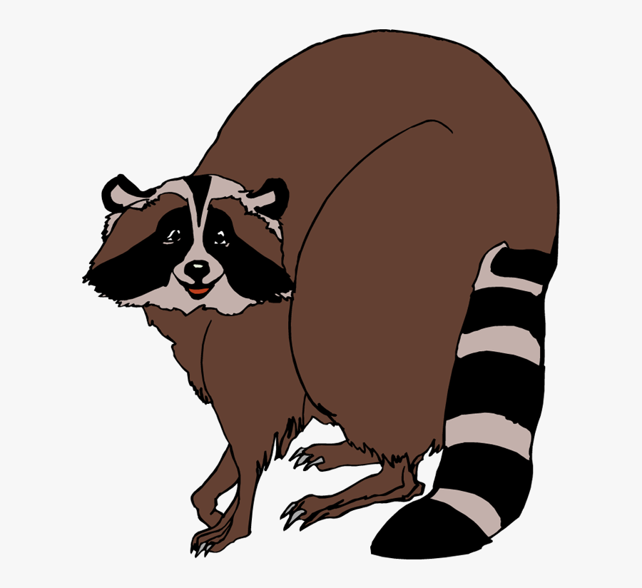 Transparent Racoon Png - Fat Raccoon Clip Art, Transparent Clipart