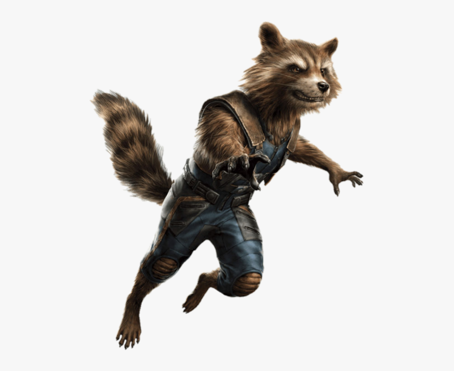 Guardians Of The Galaxy Rocket Raccoon Png Clipart - Rocket Raccoon Avengers 4, Transparent Clipart