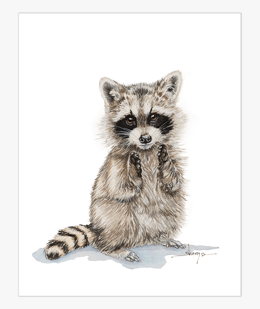 Clip Art Picture Of A Raccoon - Raccoon Sjetch, Transparent Clipart